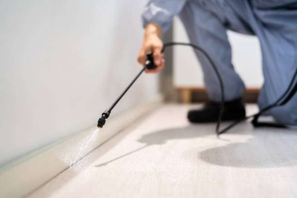 Licensed Termite Control service in Stuart, VA - Nex Pest Control