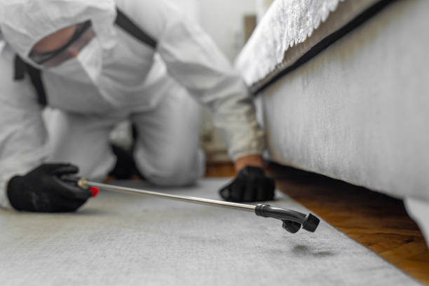 Professional Termite Control technician working in Stuart, VA