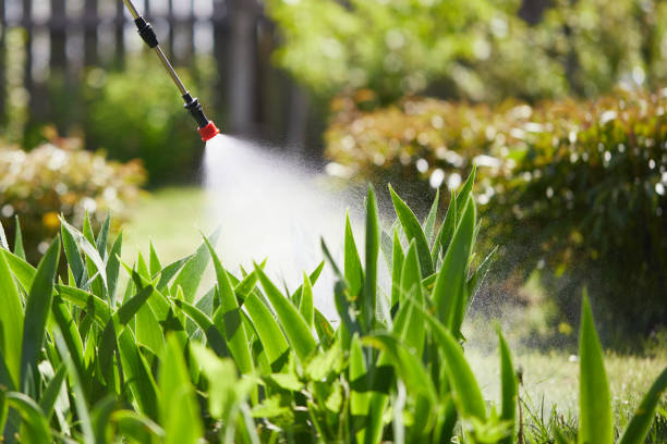 24/7 Emergency Termite Control experts in Stuart, VA