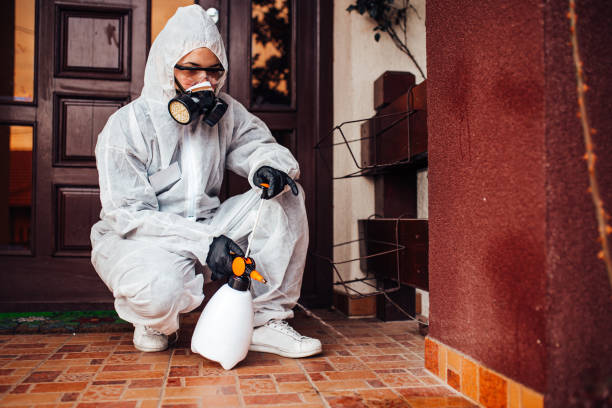 Reliable Termite Control contractor in Stuart, VA by Nex Pest Control